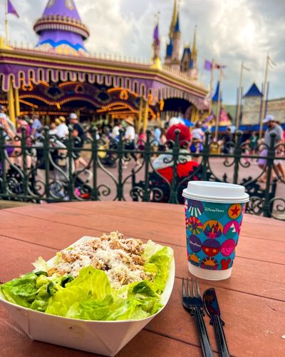 Aniversário no Magic Kingdom, foto 5
